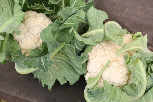 Cauliflower & Kohlrabi Growing Guide