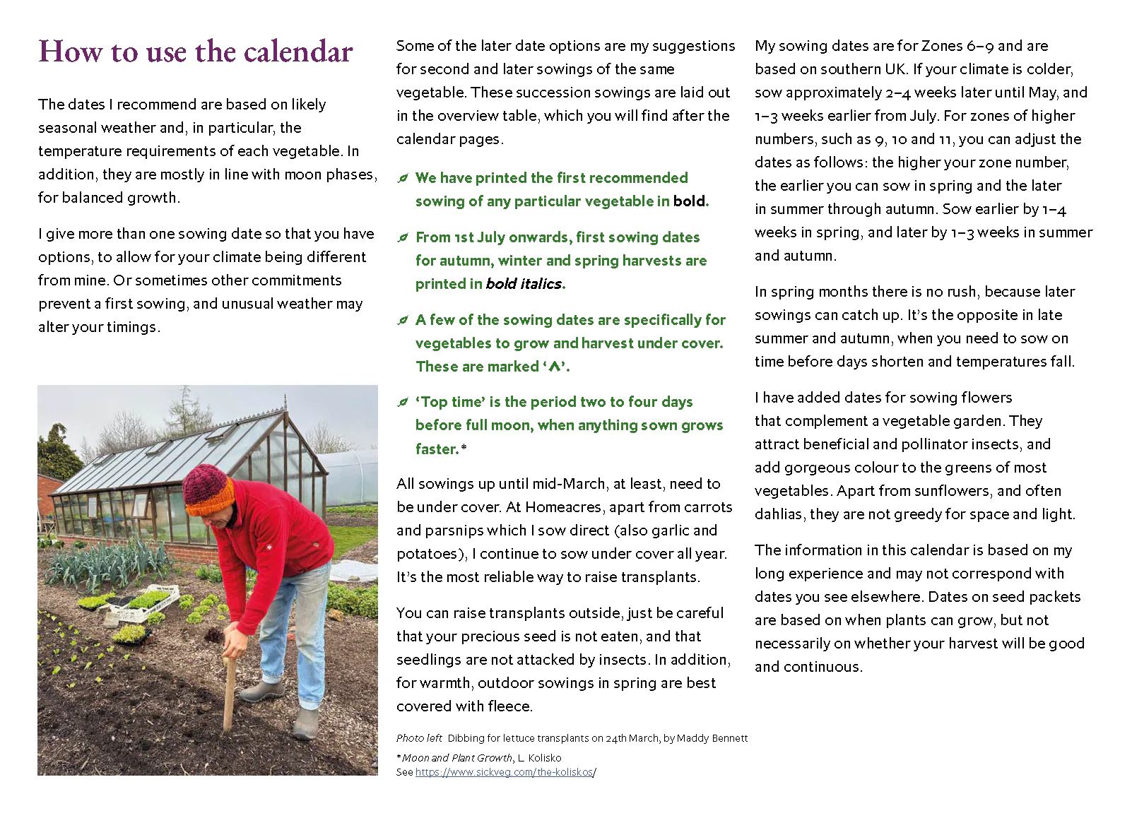 Charles Dowding’s Calendar of Vegetable Sowing Dates 2026 - Image 3