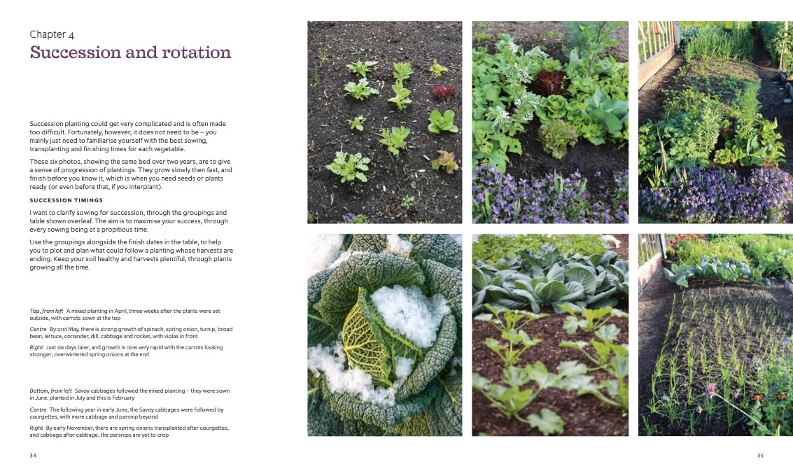 Charles Dowding's Skills For Growing: Sowing, Spacing, Planting, Picking, Watering and More - Image 3