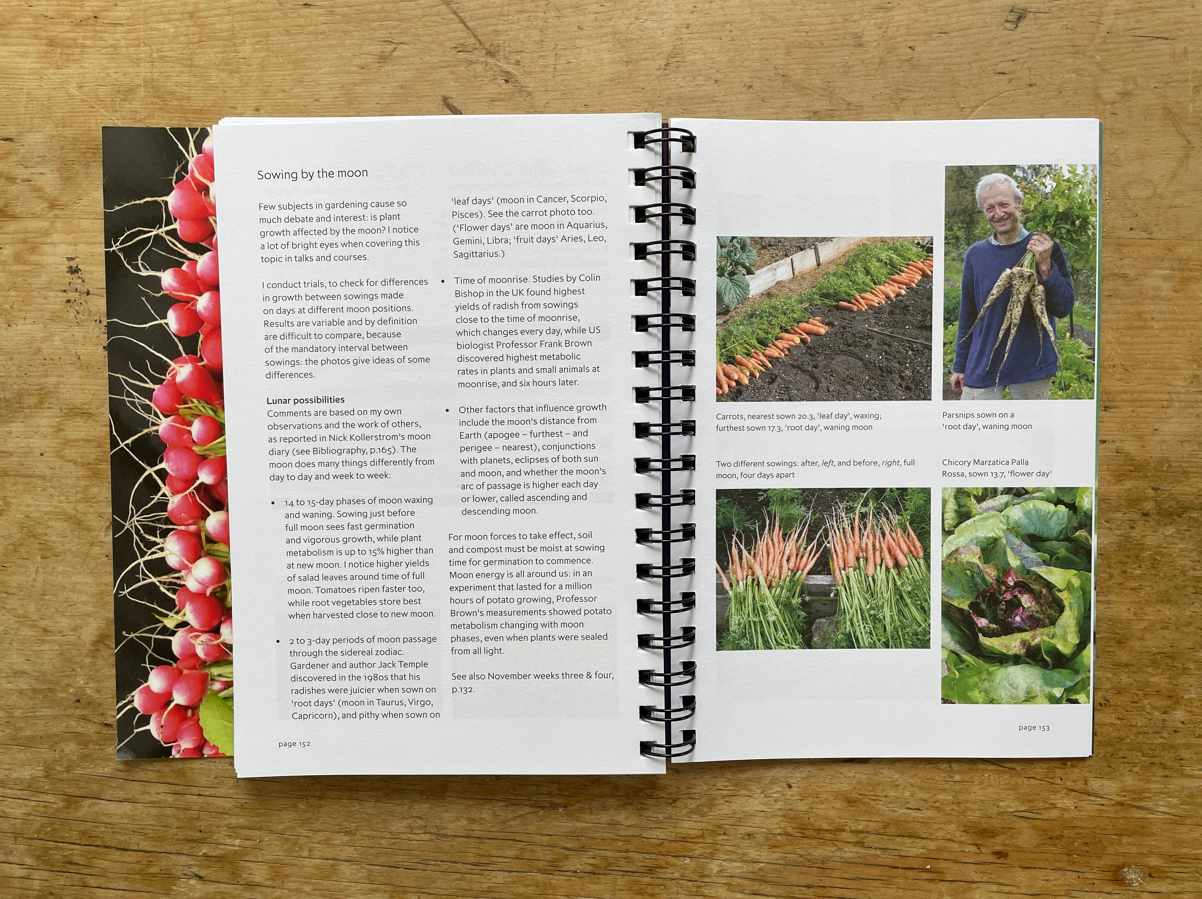 Charles Dowding's Vegetable Garden Diary: No Dig, Healthy Soil, Fewer Weeds - Image 7