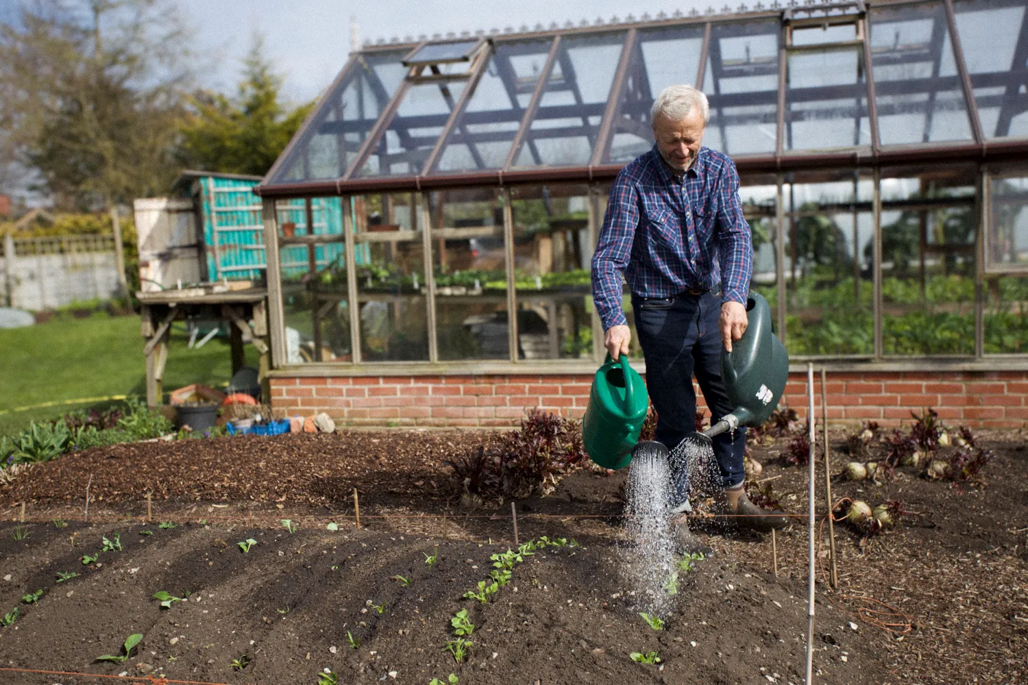 No Dig Growing for Beginners – Online Course - Image 6
