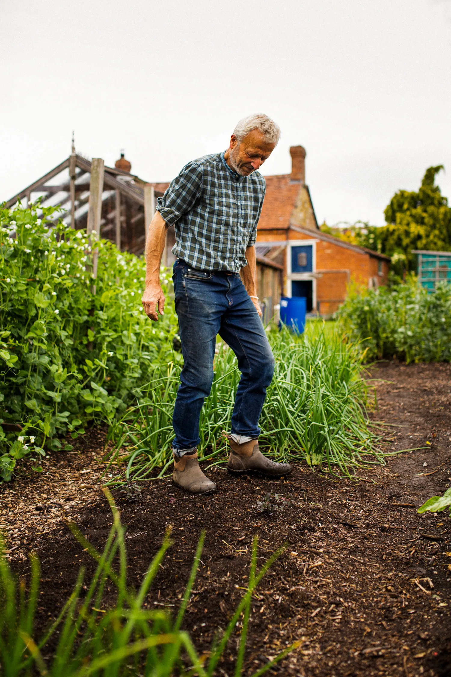 No Dig Growing for Beginners – Online Course - Image 7