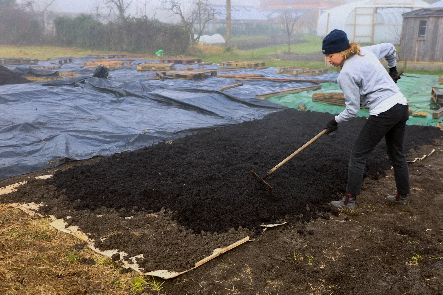 No Dig Growing for Beginners – Online Course - Image 9
