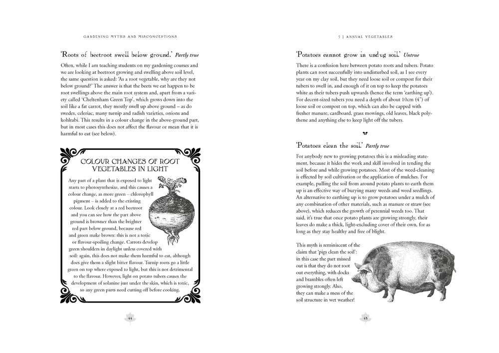 Gardening Myths and Misconceptions: A No-Nonsense Guide to Common Beliefs - Image 4