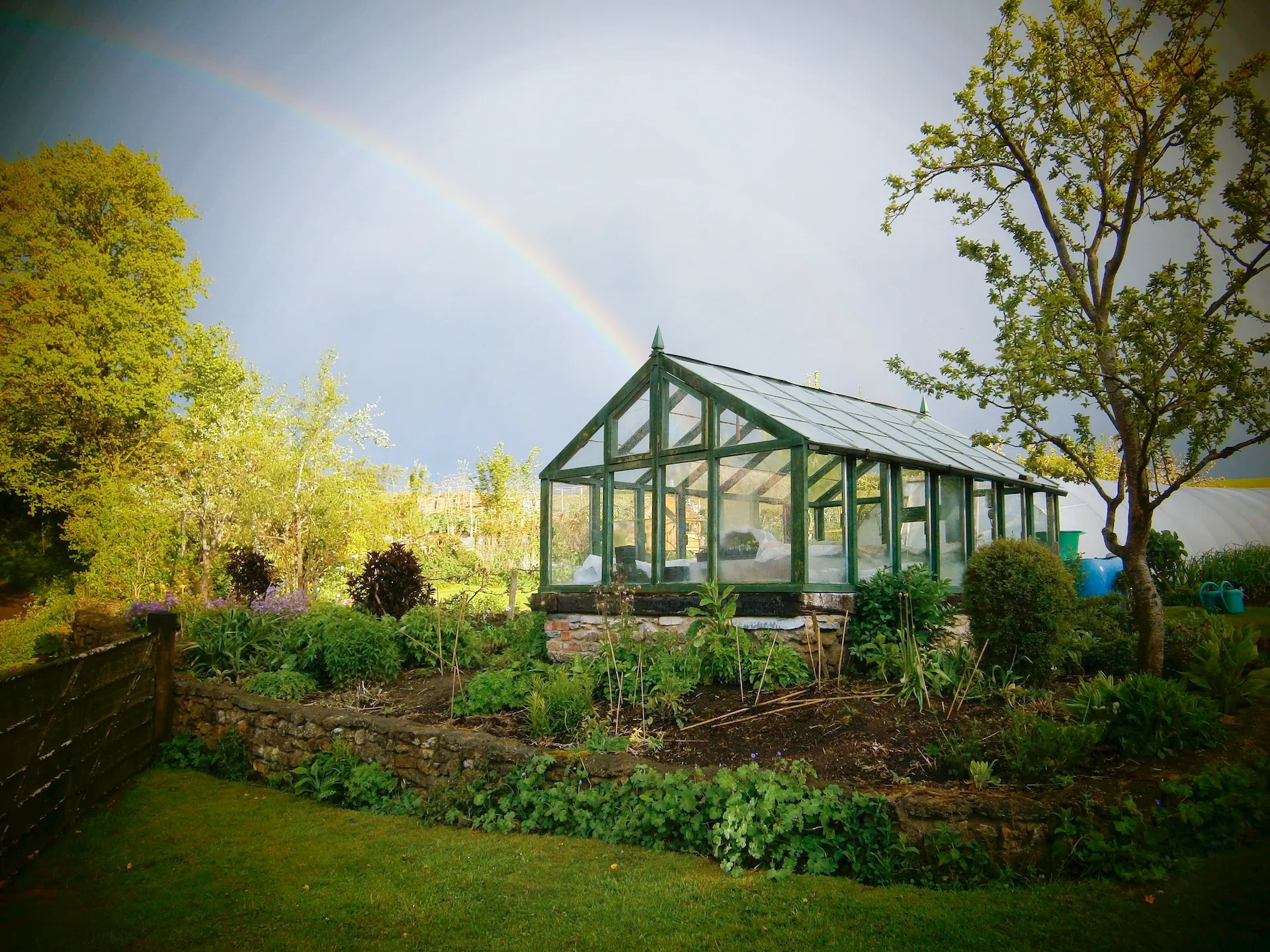 *NEW! Greenhouse & Polytunnel Growing – Online Course - Image 7