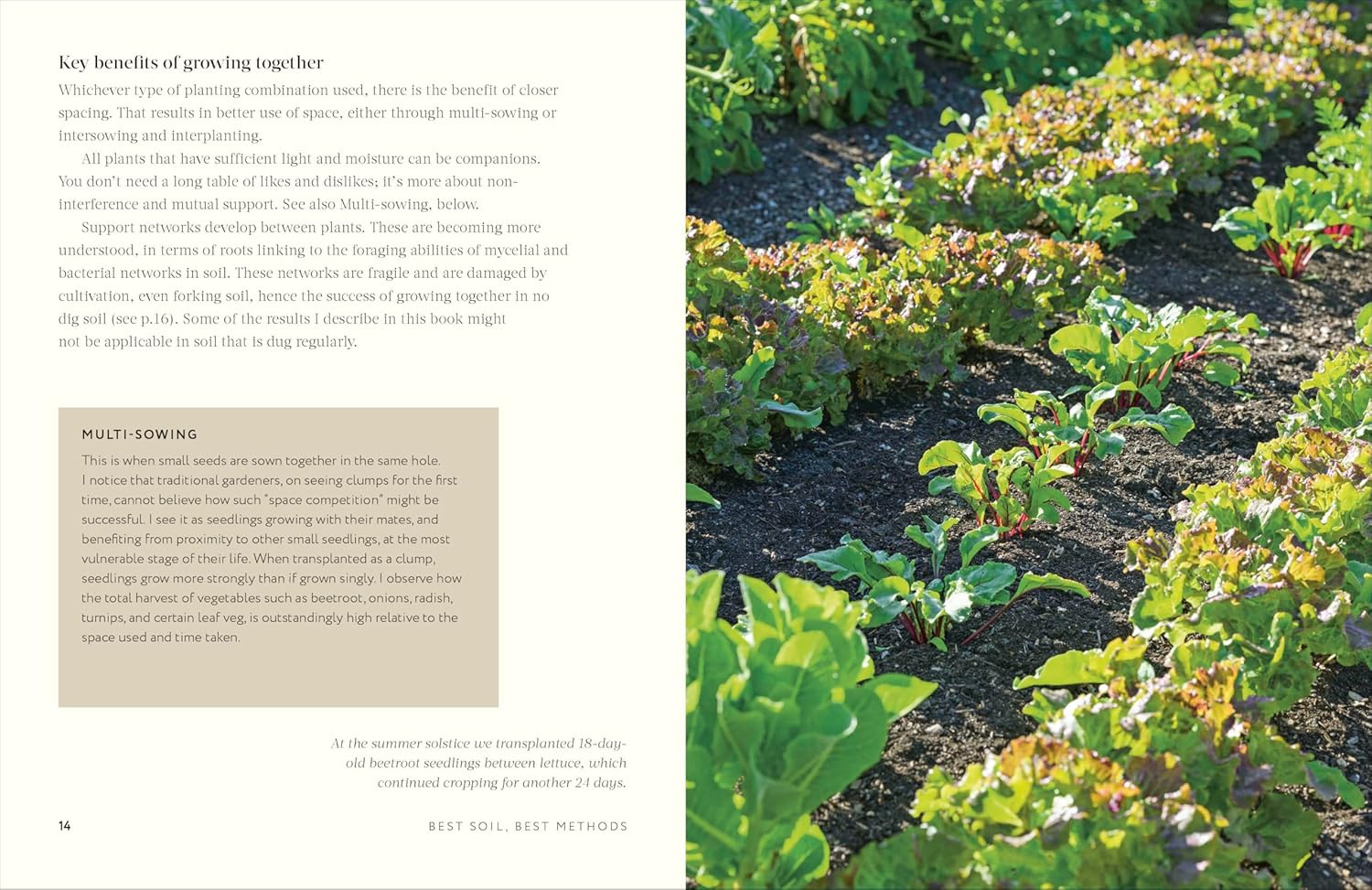 Grow Together: 50 planting partnerships to boost your harvests - Image 7