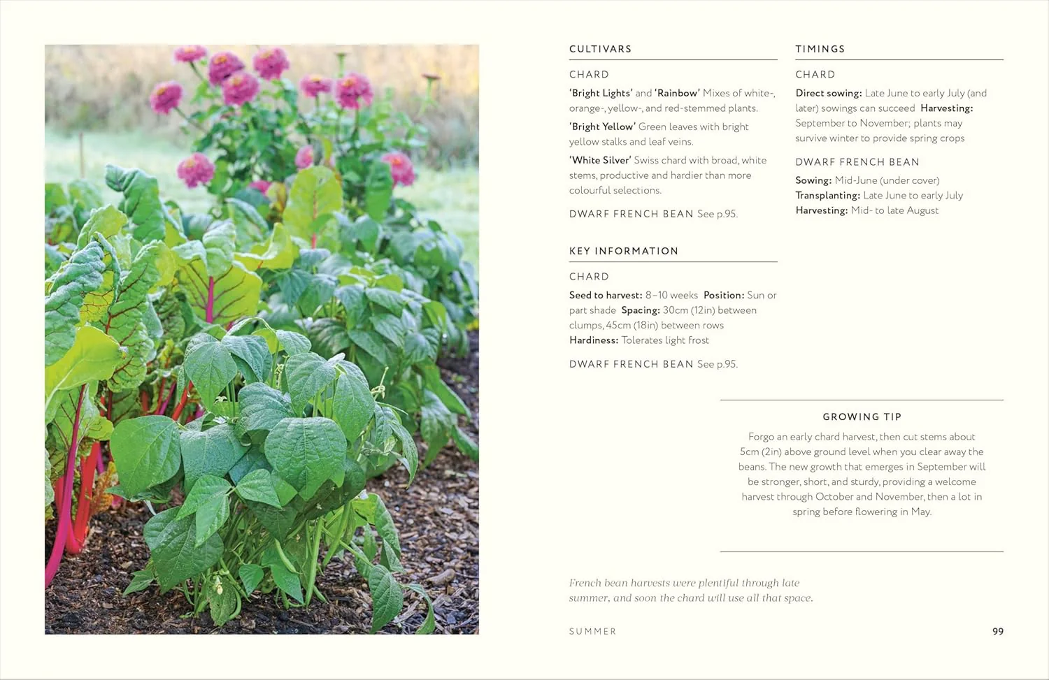 Grow Together: 50 planting partnerships to boost your harvests - Image 8