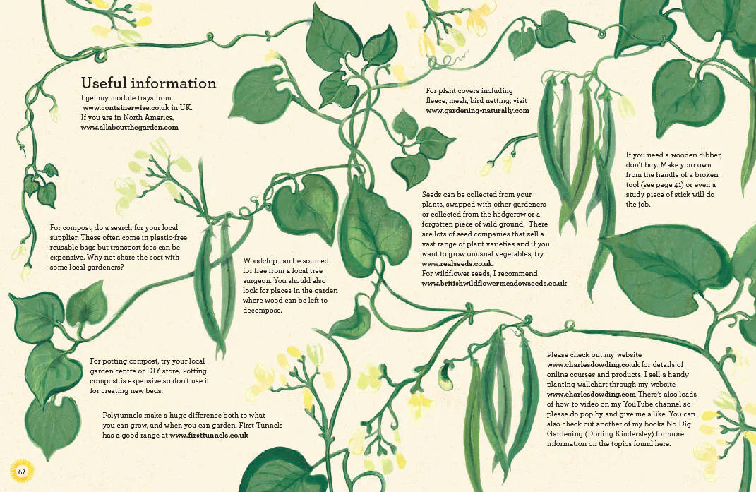 No Dig Children’s Gardening Book: A Simple, Fun, and Easy Guide to Gardening - Image 6