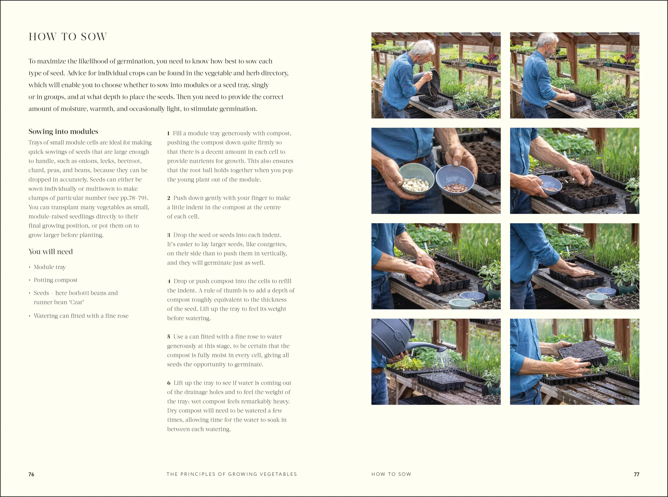 No Dig: Nurture Your Soil to Grow Better Veg with Less Effort - Image 3