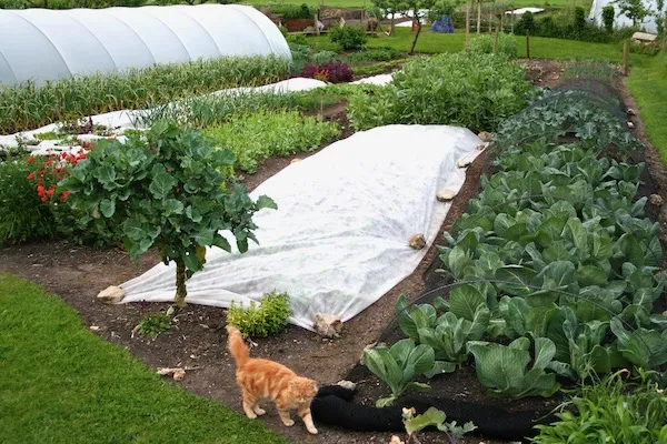 Pests and Diseases – Online Course - Image 8